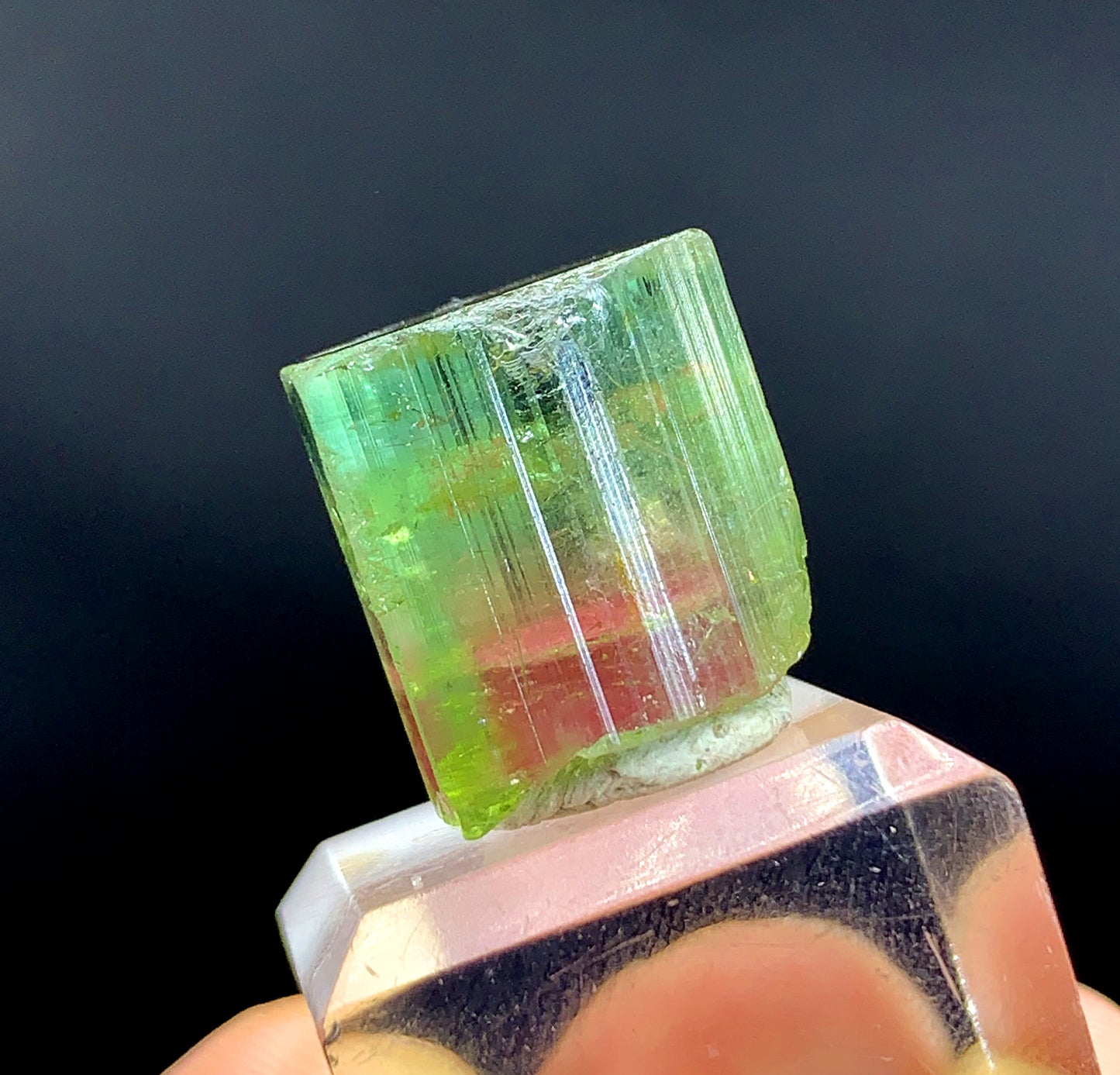 Bicolor Watermelon Tourmaline Crystal from Paprok Afghanistan - 45.25 carat