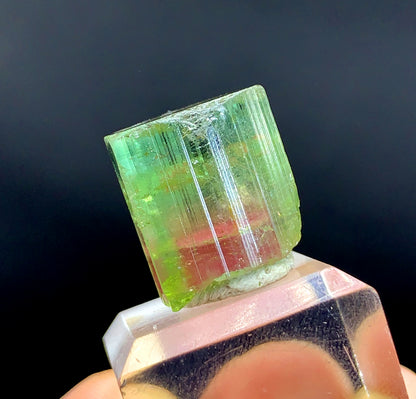 Bicolor Watermelon Tourmaline Crystal from Paprok Afghanistan - 45.25 carat