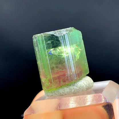 Bicolor Watermelon Tourmaline Crystal from Paprok Afghanistan - 45.25 carat