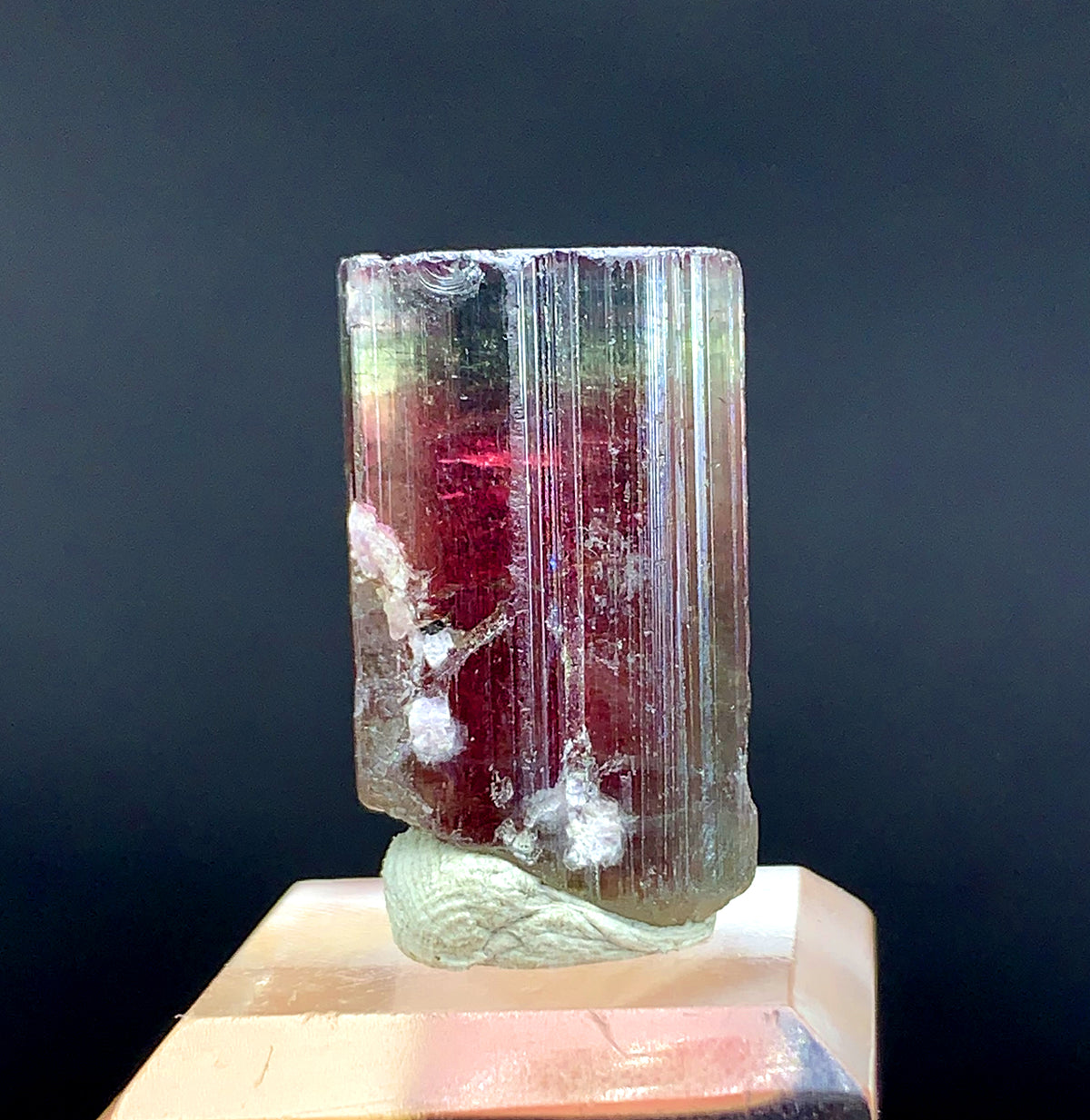 Tricolor Watermelon Tourmaline Crystal from Paprok Afghanistan - 42.95 carat