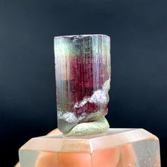 Tricolor Watermelon Tourmaline Crystal from Paprok Afghanistan - 42.95 carat