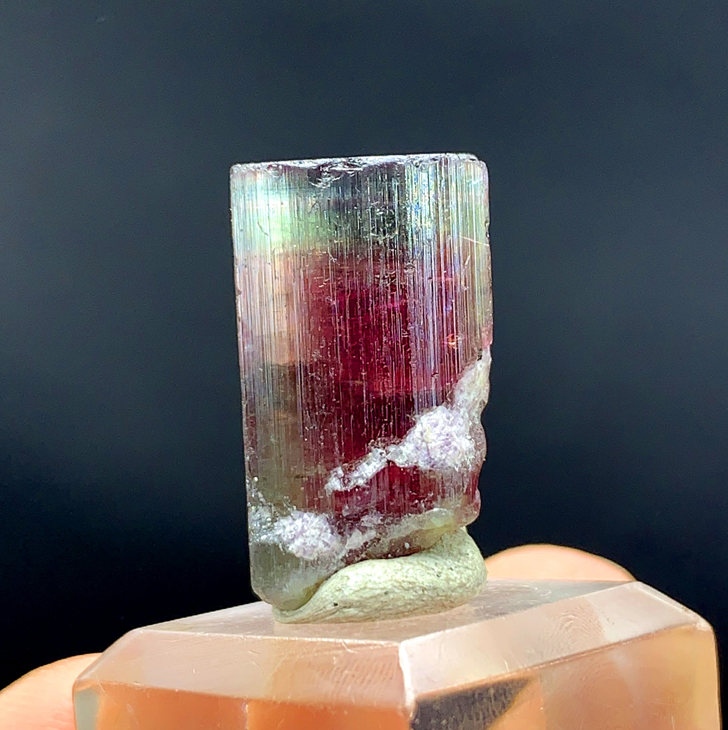 Tricolor Watermelon Tourmaline Crystal from Paprok Afghanistan - 42.95 carat