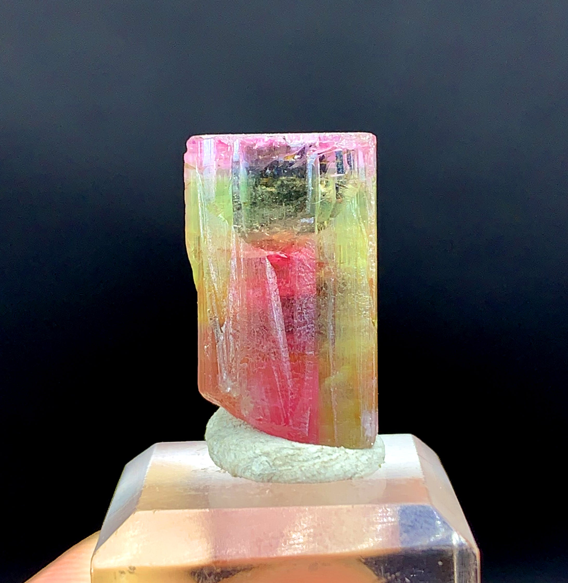 Tricolor Watermelon Tourmaline Crystal from Paprok Afghanistan - 31.50 carat