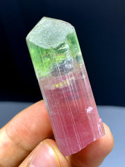 Bicolor Tourmaline Crystal from Afghanistan - 27 grams