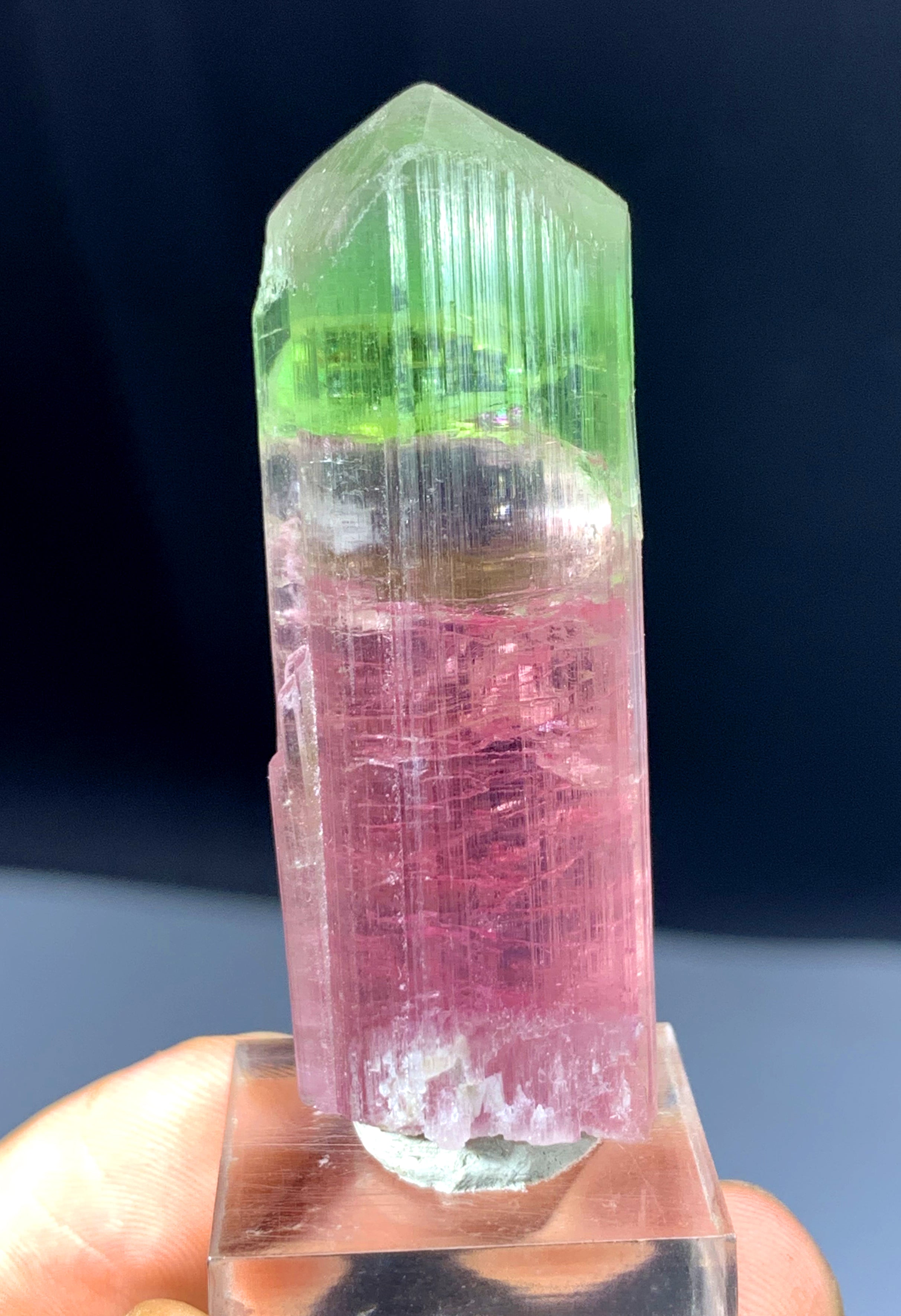 Bicolor Tourmaline Crystal from Afghanistan - 27 grams