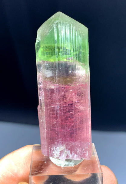 Bicolor Tourmaline Crystal from Afghanistan - 27 grams