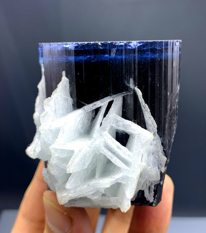 Blue Cap Tourmaline with Cleavelandite Albite from Paprok Afghanistan - 366 gram