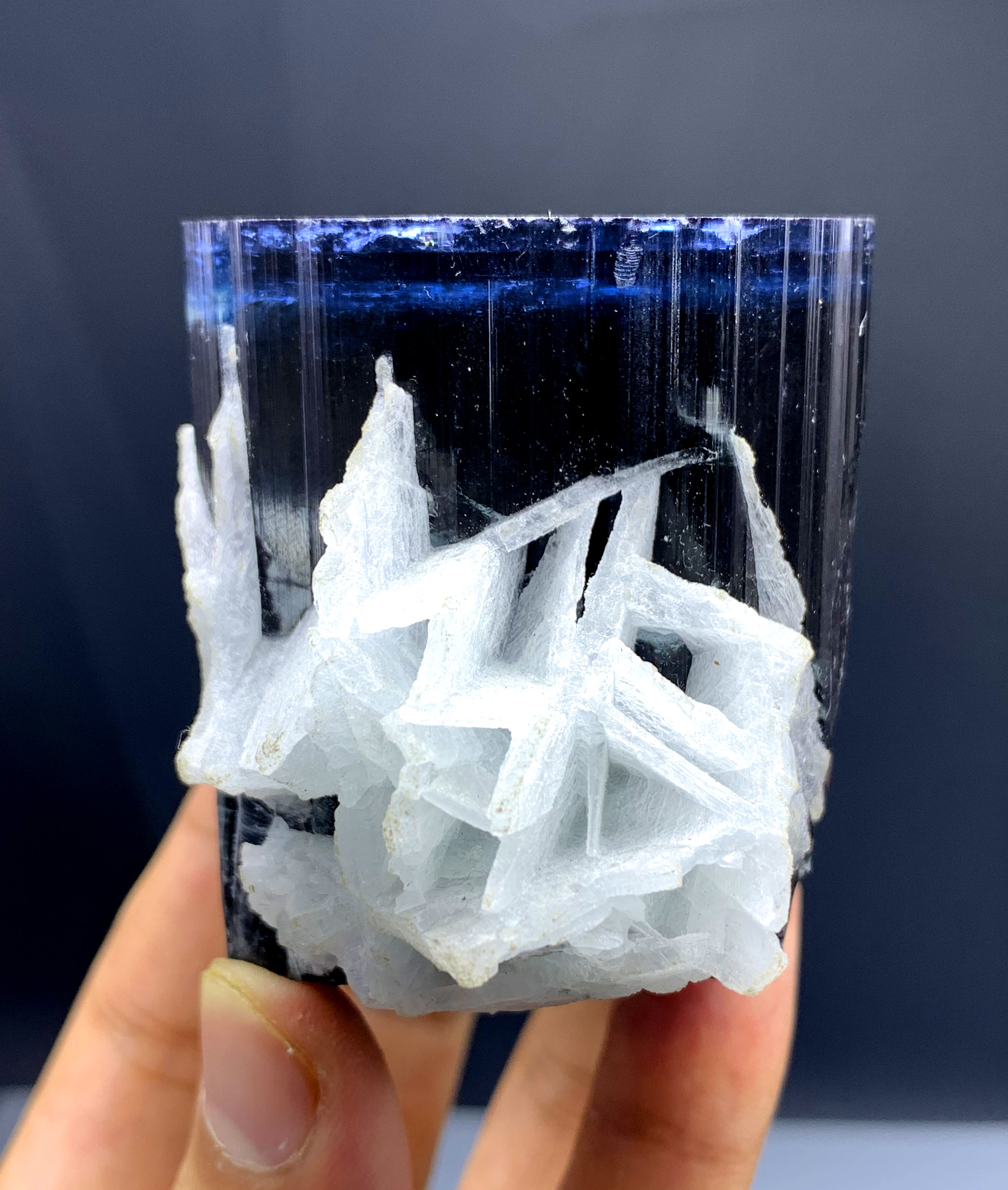 Blue Cap Tourmaline with Cleavelandite Albite from Paprok Afghanistan - 366 gram
