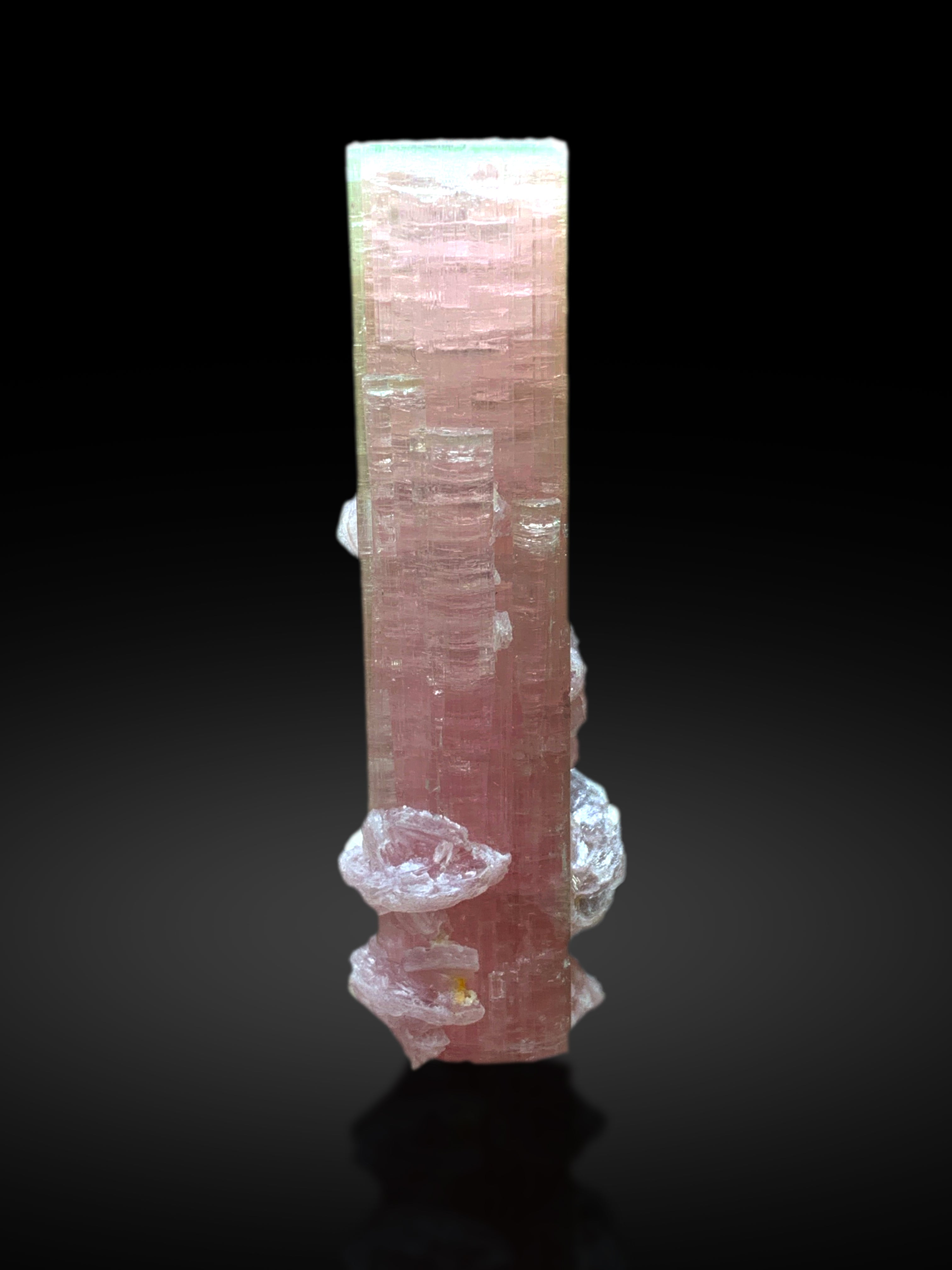 Natural Bicolor Tourmaline with Lepidolite from Paprok Afghanistan - 43 grams