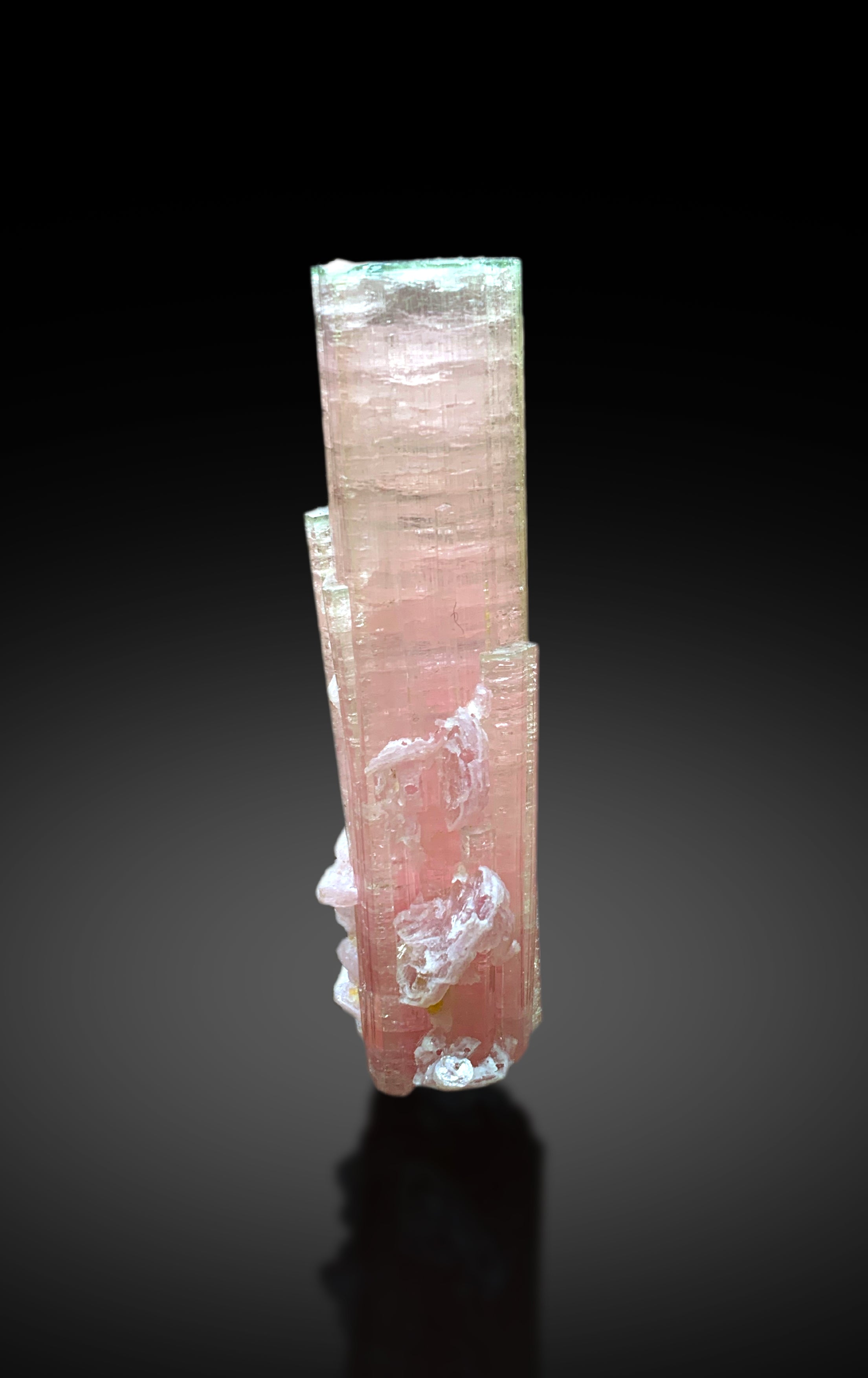 Natural Bicolor Tourmaline with Lepidolite from Paprok Afghanistan - 43 grams