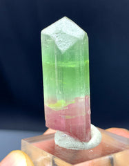 Bicolor Tourmaline Crystal from Afghanistan - 48.10 carats