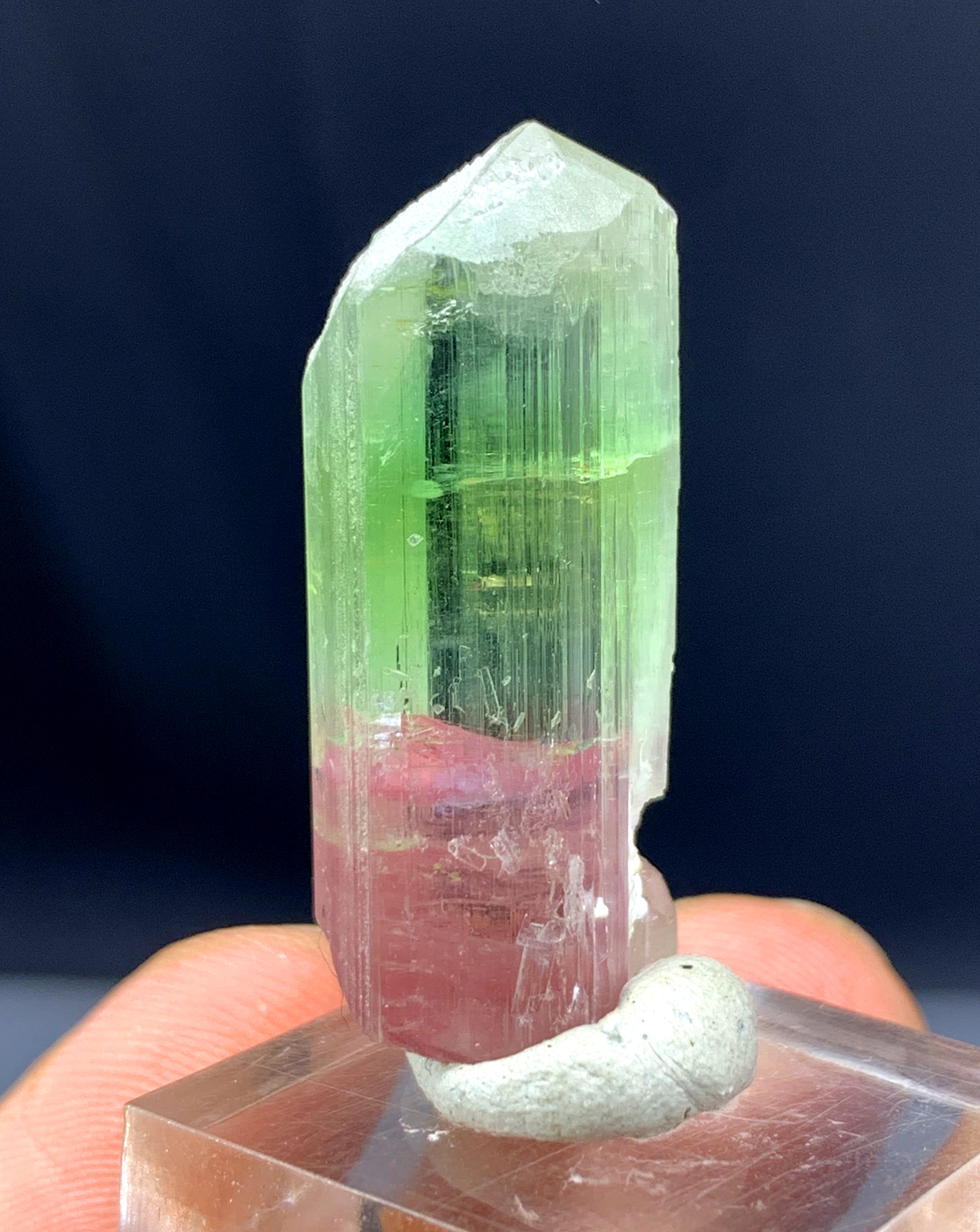 Bicolor Tourmaline Crystal from Afghanistan - 48.10 carats