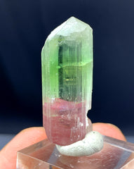 Bicolor Tourmaline Crystal from Afghanistan - 48.10 carats