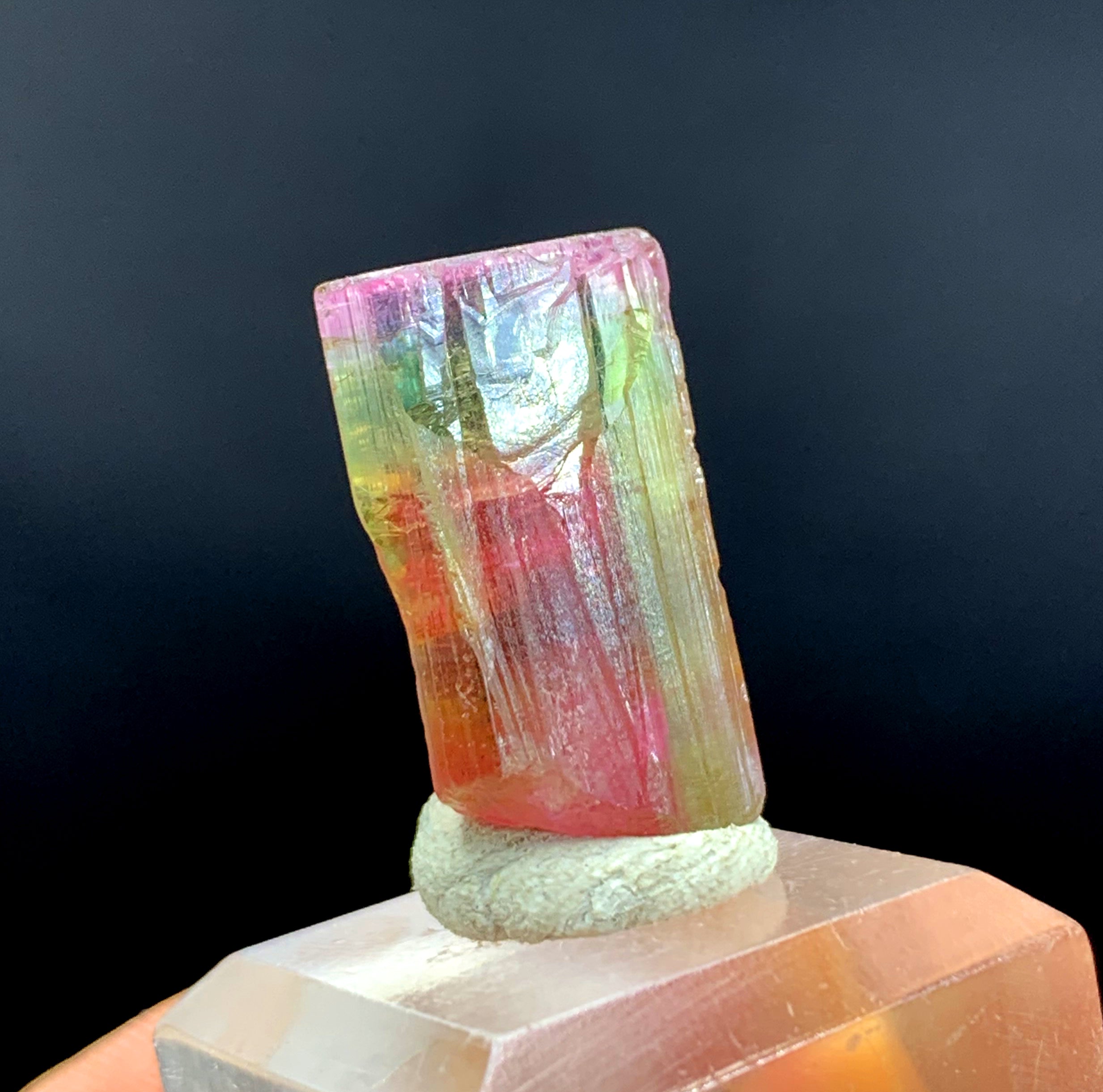 Tricolor Watermelon Tourmaline Crystal from Paprok Afghanistan - 31.50 carat