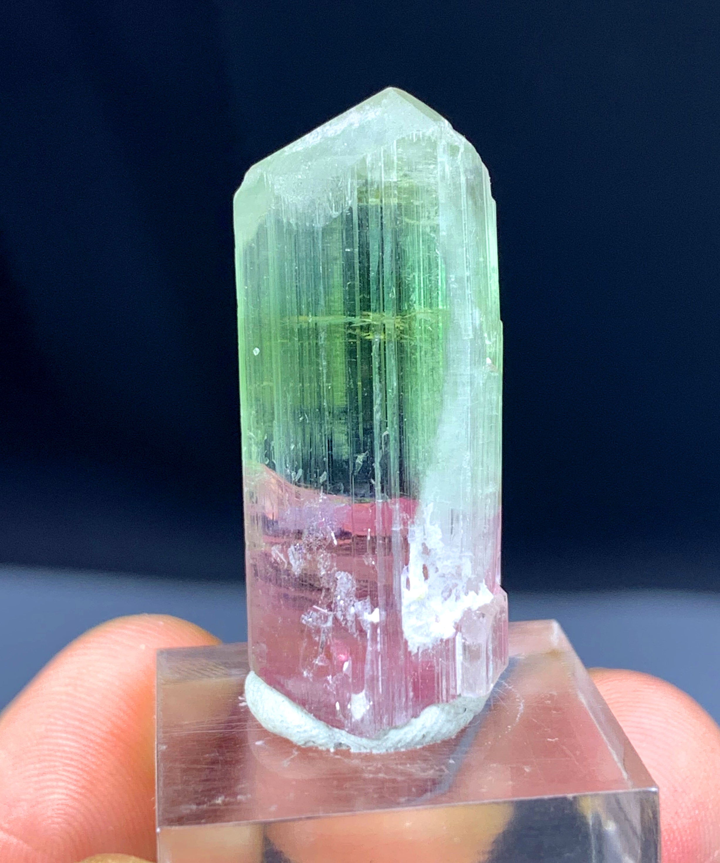 Bicolor Tourmaline Crystal from Afghanistan - 48.10 carats