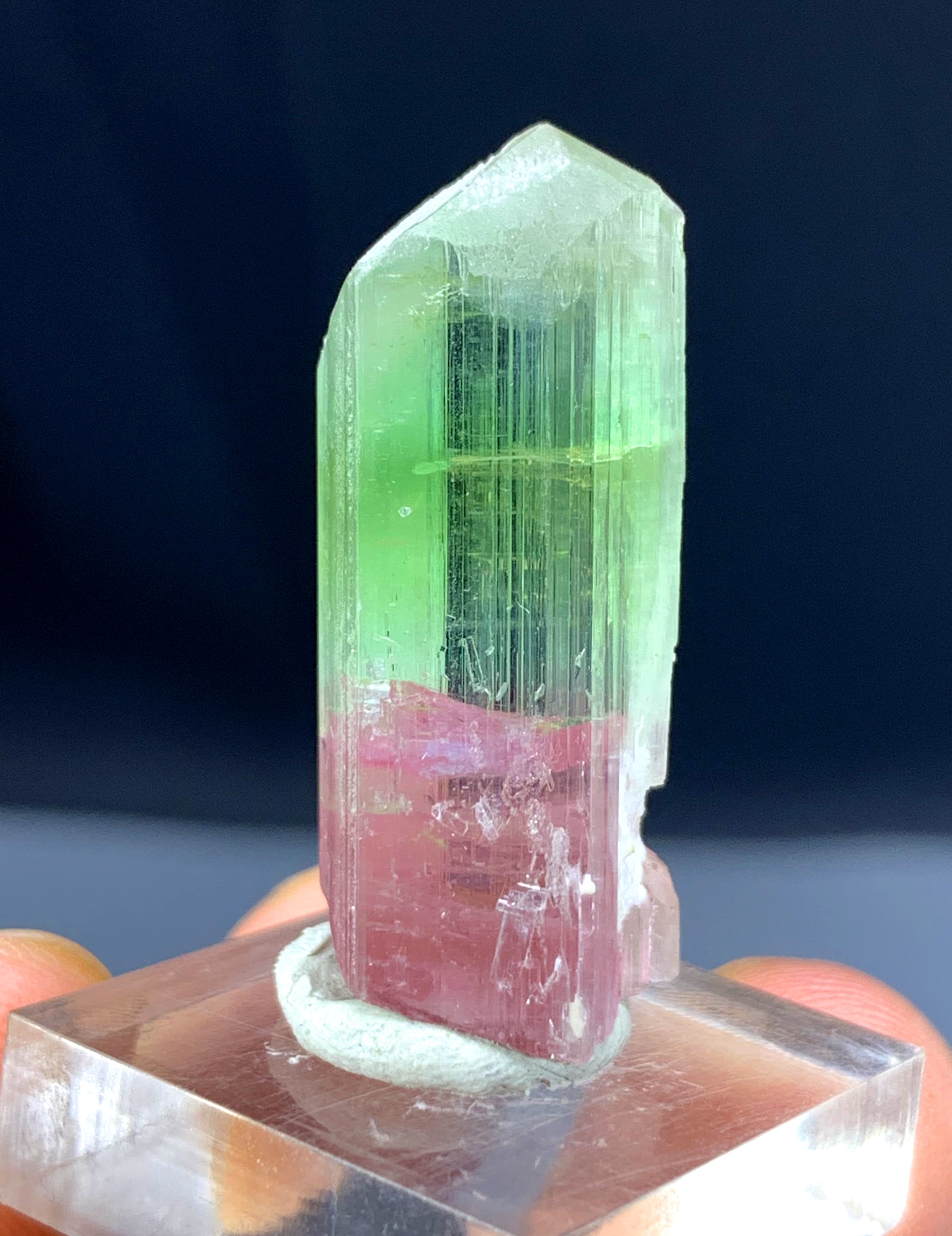 Bicolor Tourmaline Crystal from Afghanistan - 48.10 carats