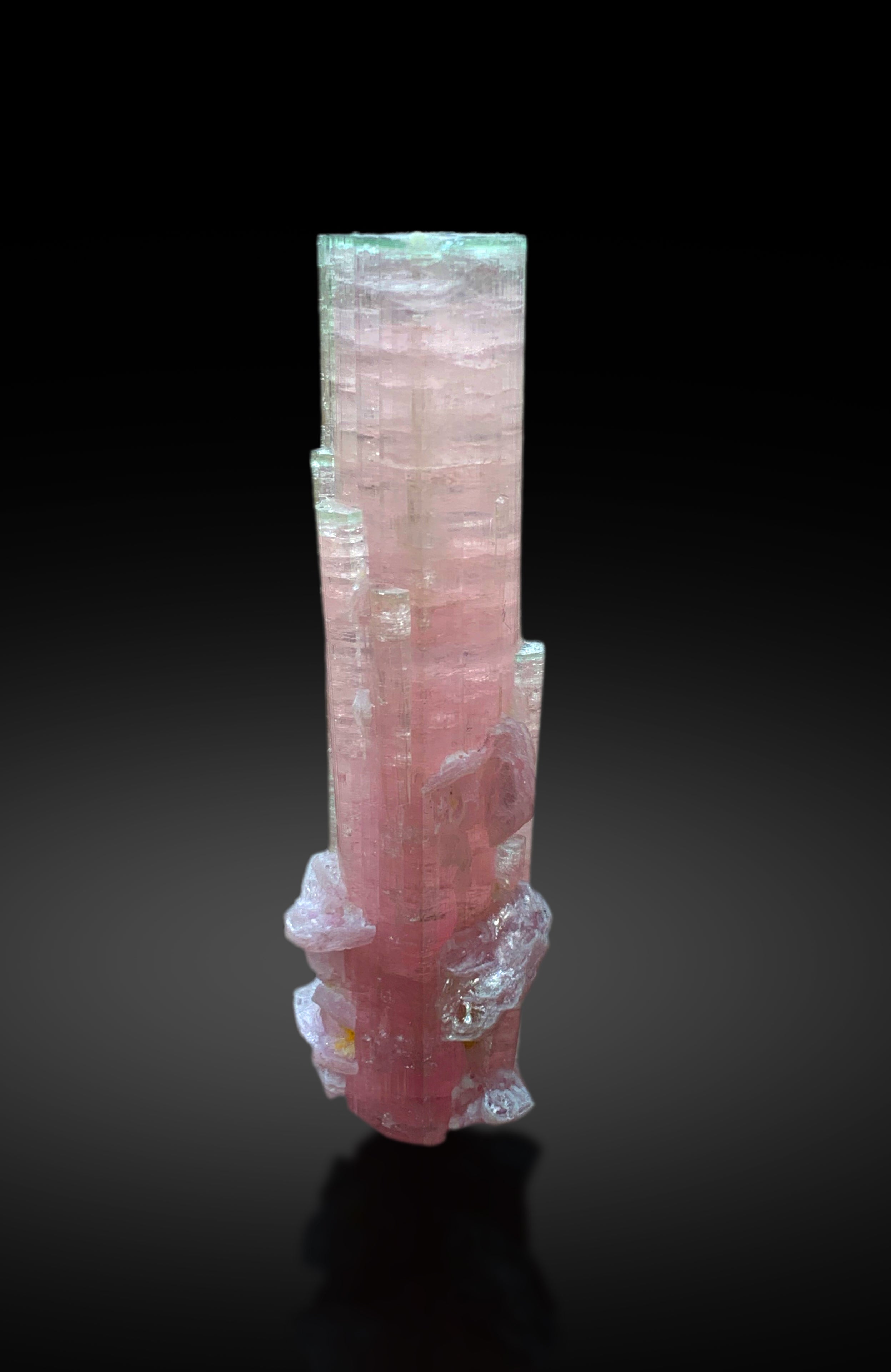 Natural Bicolor Tourmaline with Lepidolite from Paprok Afghanistan - 43 grams