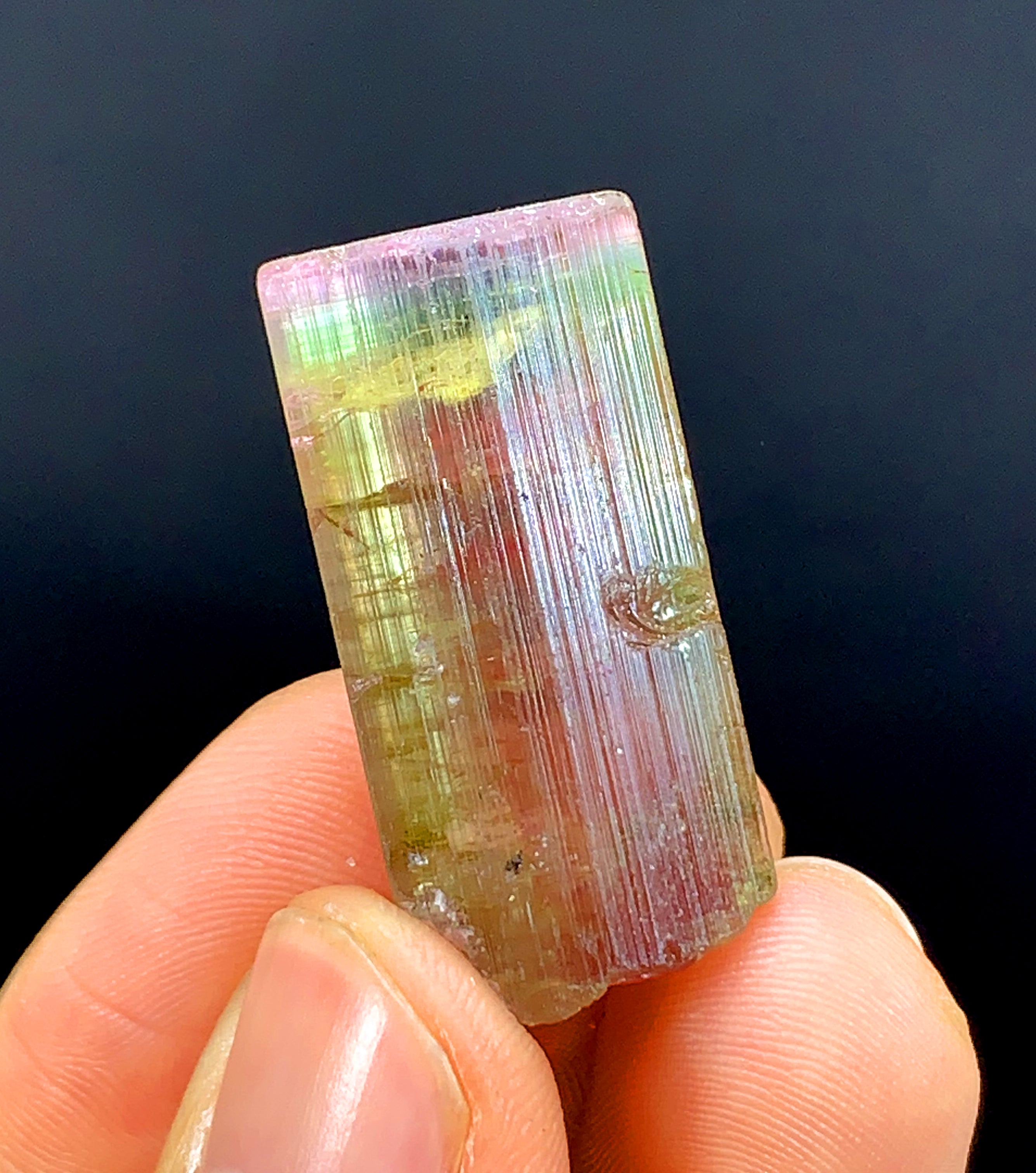 Tricolor Watermelon Tourmaline Crystal from Paprok Afghanistan - 69.95 carat