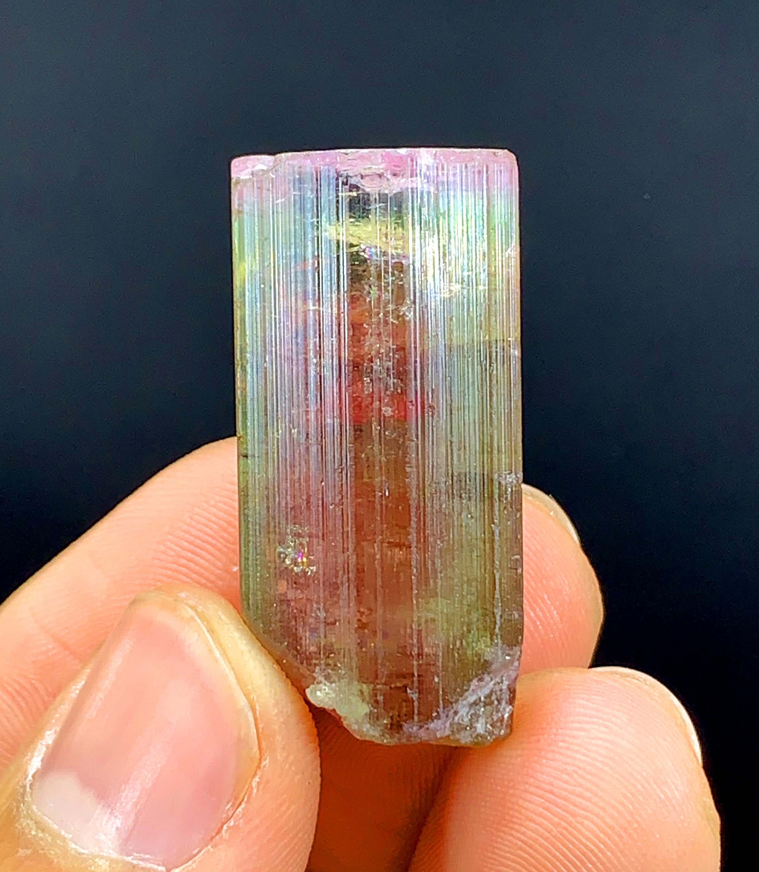 Tricolor Watermelon Tourmaline Crystal from Paprok Afghanistan - 69.95 carat