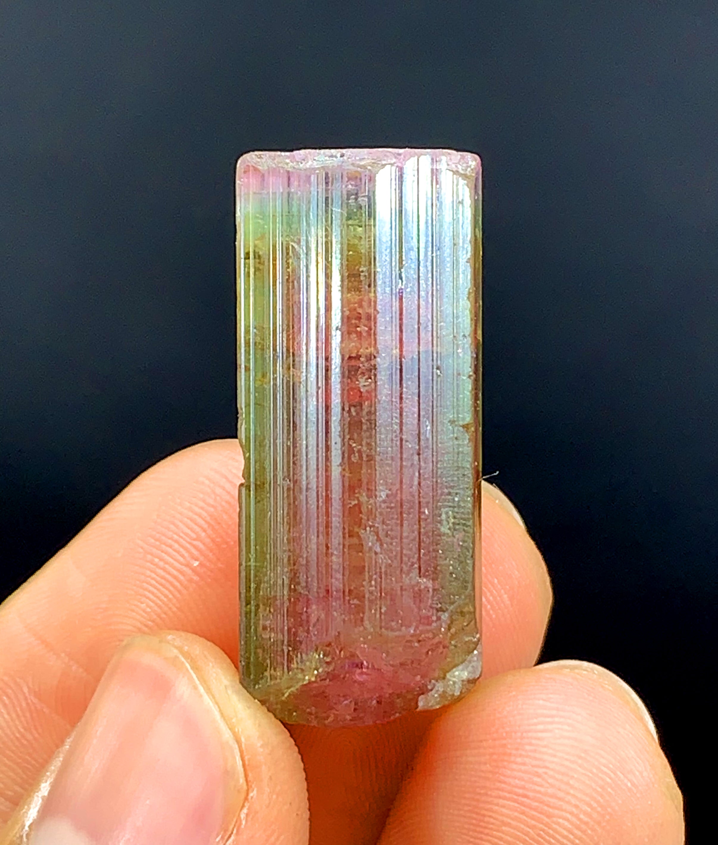 Tricolor Watermelon Tourmaline Crystal from Paprok Afghanistan - 69.95 carat