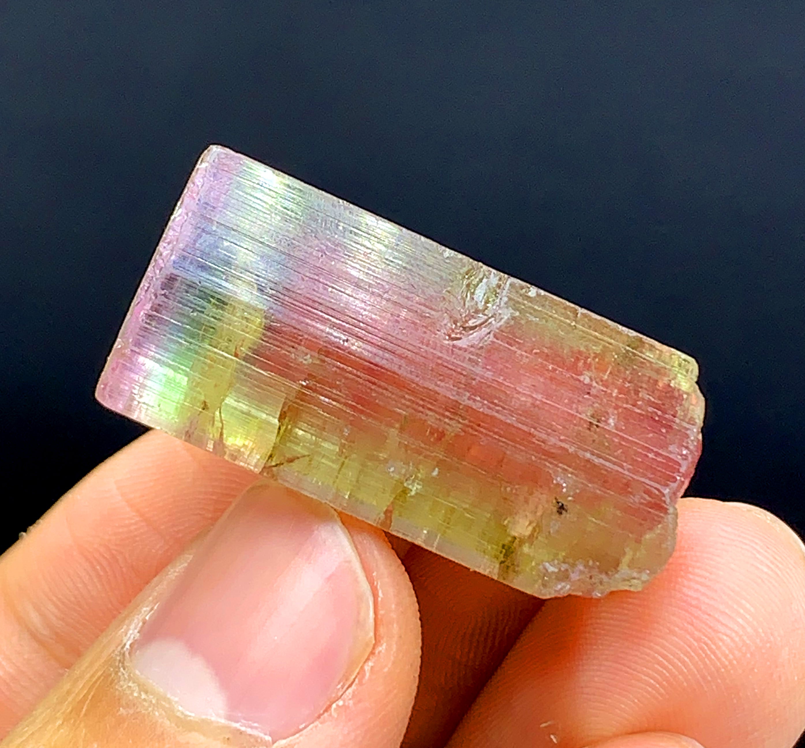 Tricolor Watermelon Tourmaline Crystal from Paprok Afghanistan - 69.95 carat