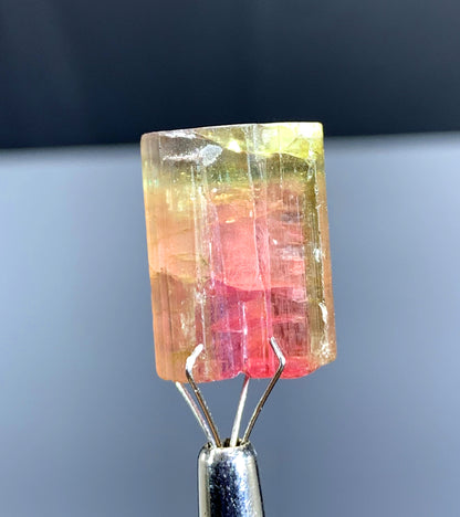 Watermelon Tourmaline Crystal from Paprok Afghanistan - 29.80 cts