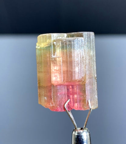 Watermelon Tourmaline Crystal from Paprok Afghanistan - 29.80 cts