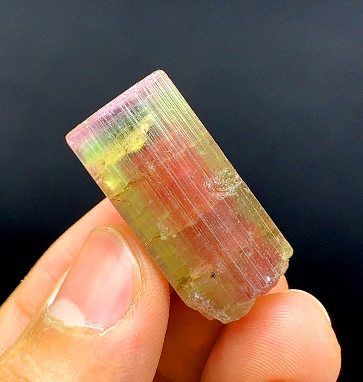 Tricolor Watermelon Tourmaline Crystal from Paprok Afghanistan - 69.95 carat