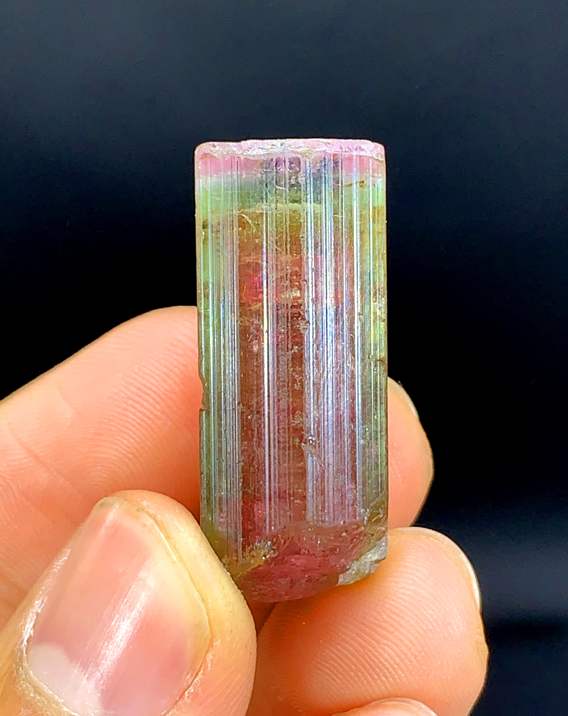 Tricolor Watermelon Tourmaline Crystal from Paprok Afghanistan - 69.95 carat