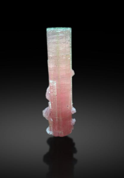 Natural Bicolor Tourmaline with Lepidolite from Paprok Afghanistan - 43 grams