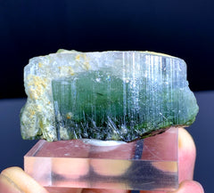 Bicolor Tourmaline Crystal from Paprok Afghanistan - 172.50 carats