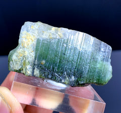 Bicolor Tourmaline Crystal from Paprok Afghanistan - 172.50 carats