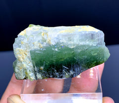 Bicolor Tourmaline Crystal from Paprok Afghanistan - 172.50 carats