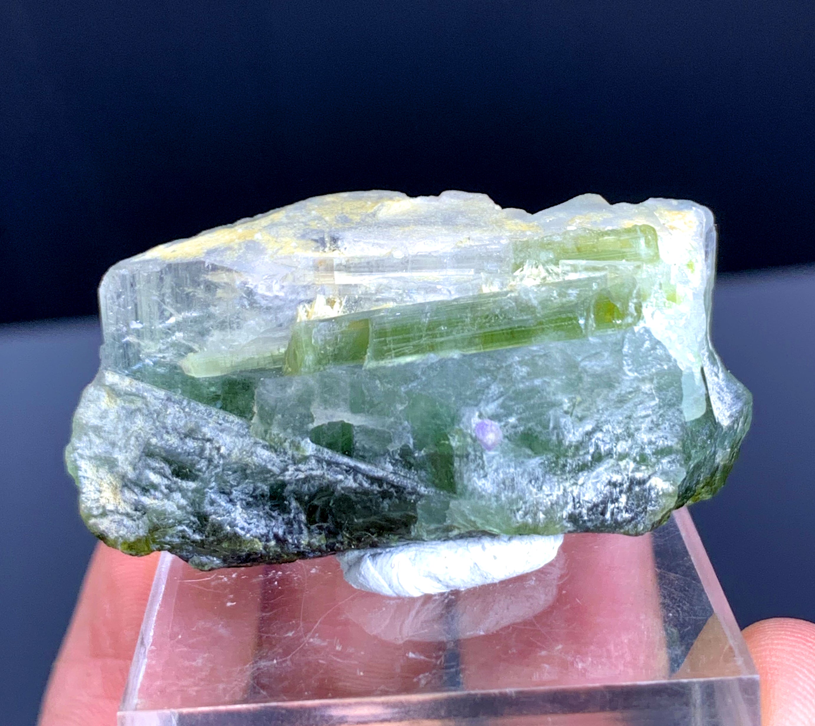 Bicolor Tourmaline Crystal from Paprok Afghanistan - 172.50 carats