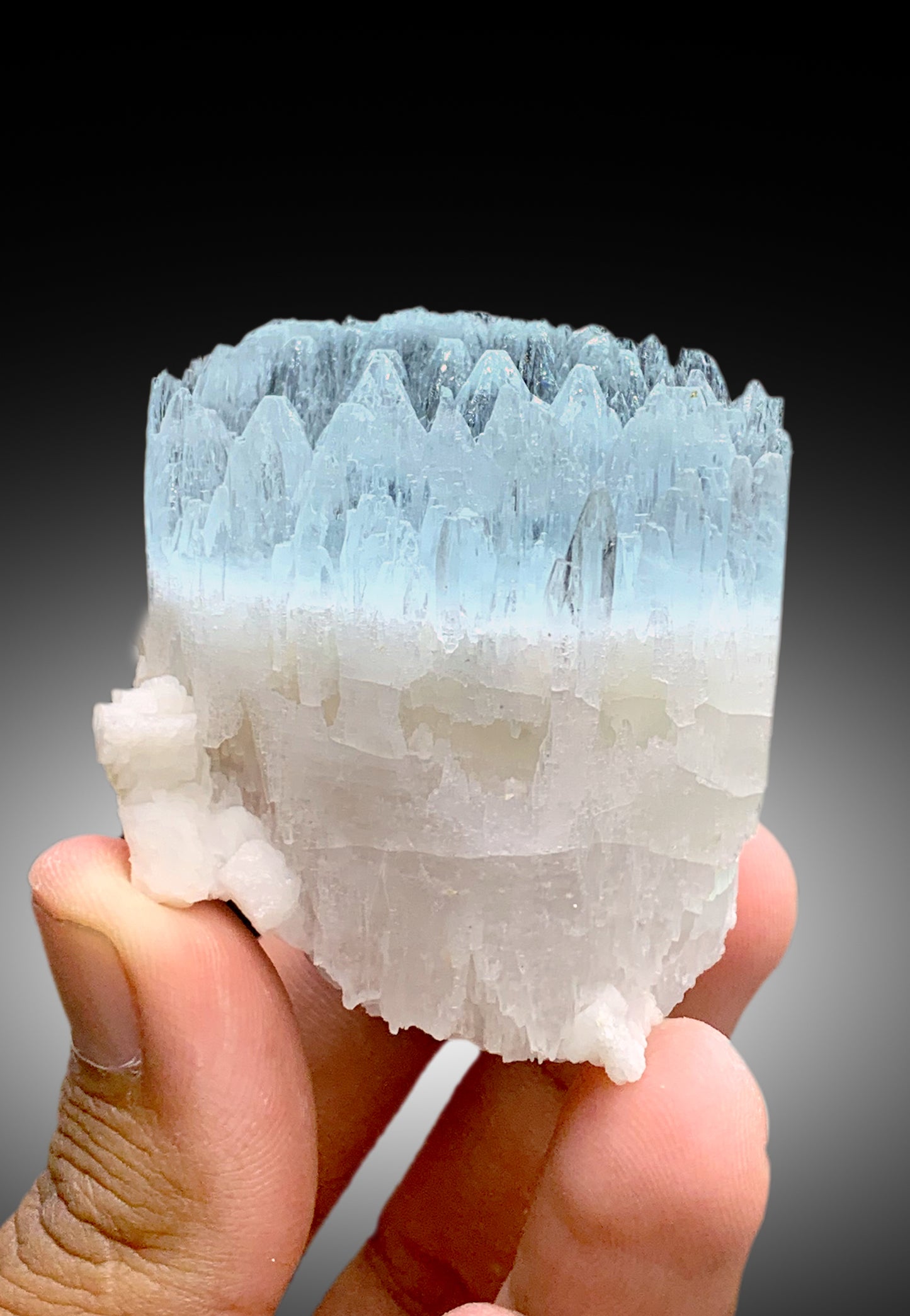 Bicolor Beryl, AquaMorganite Crystal, Morganite var Aquamarine with Etched Terminations, Scepter AquaMorganite Specimen - 134 gram