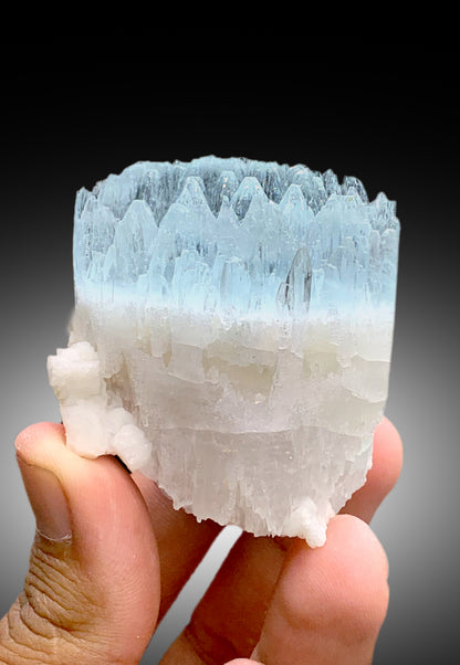 Bicolor Beryl, AquaMorganite Crystal, Morganite var Aquamarine with Etched Terminations, Scepter AquaMorganite Specimen - 134 gram