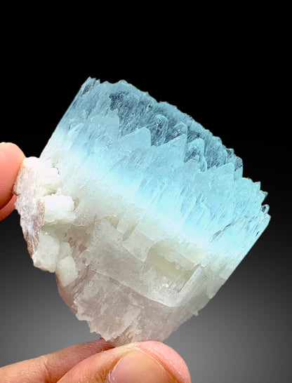 Bicolor Beryl, AquaMorganite Crystal, Morganite var Aquamarine with Etched Terminations, Scepter AquaMorganite Specimen - 134 gram