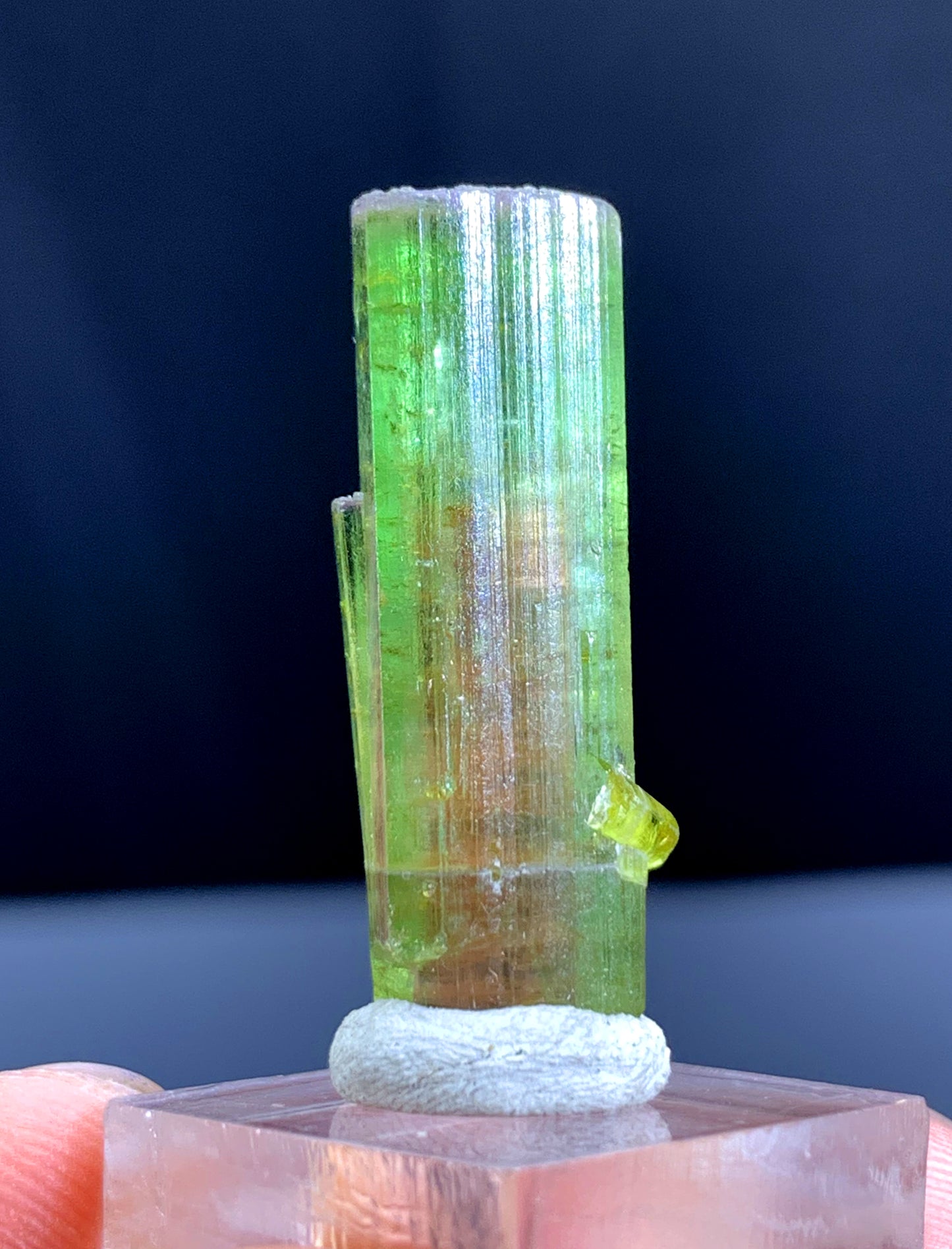 Watermelon Tourmaline Crystal from Paprok Afghanistan - 23.15 carats