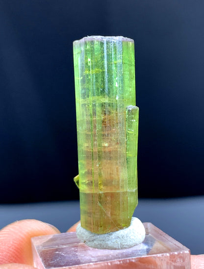 Watermelon Tourmaline Crystal from Paprok Afghanistan - 23.15 carats
