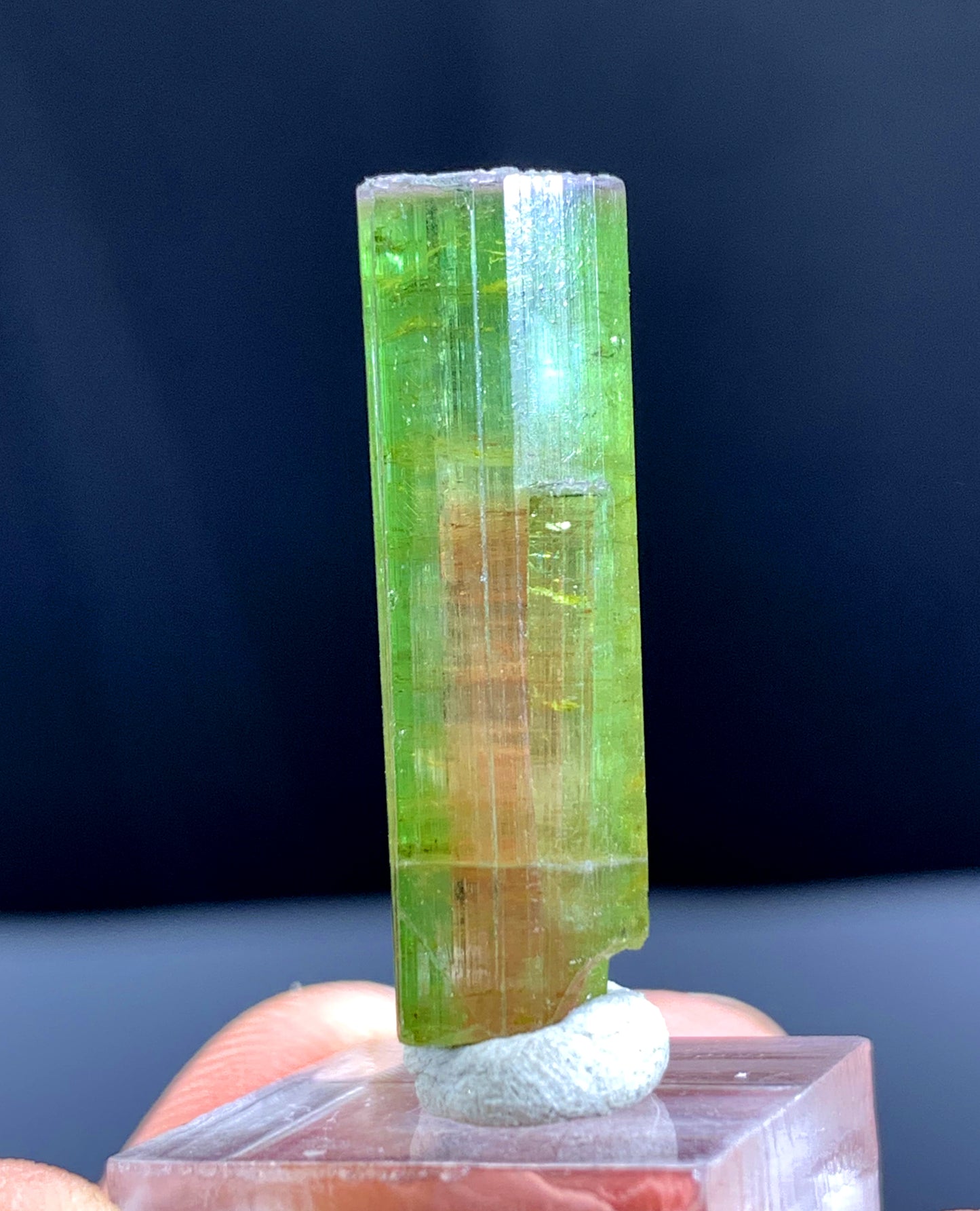Watermelon Tourmaline Crystal from Paprok Afghanistan - 23.15 carats