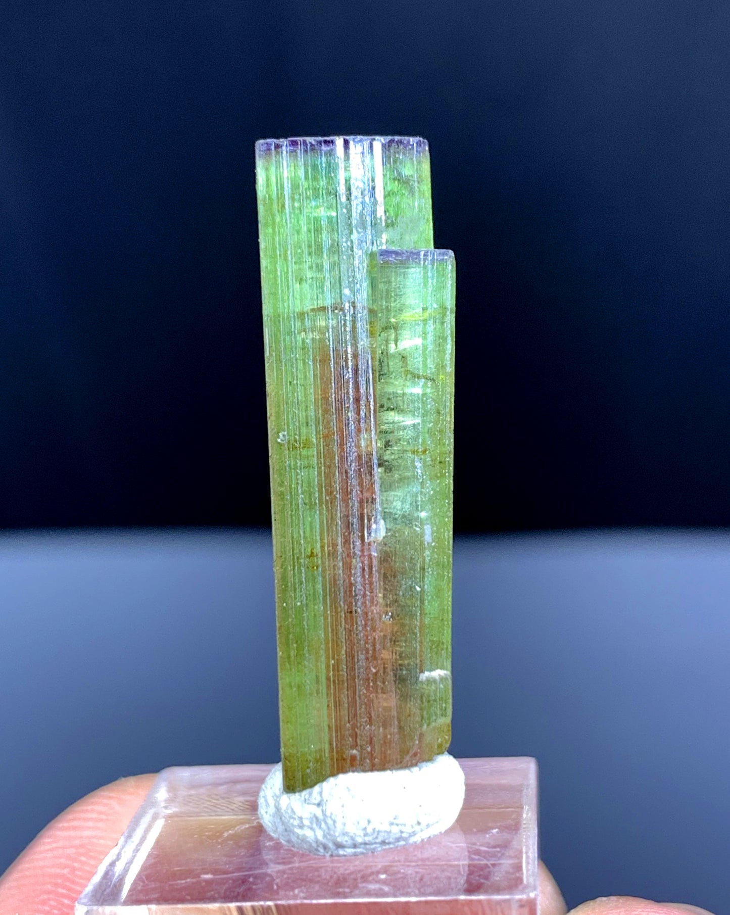 Watermelon Tourmaline Crystal from Paprok Afghanistan - 20.50 carats