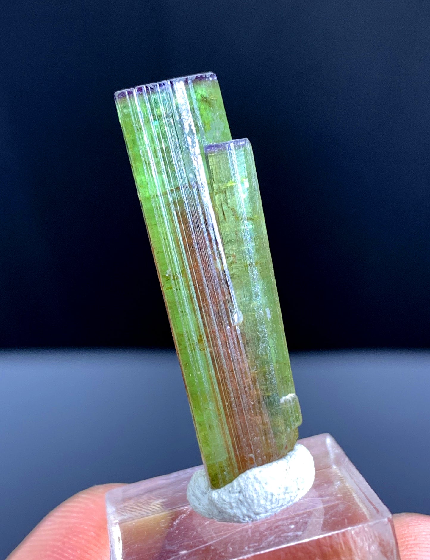 Watermelon Tourmaline Crystal from Paprok Afghanistan - 20.50 carats