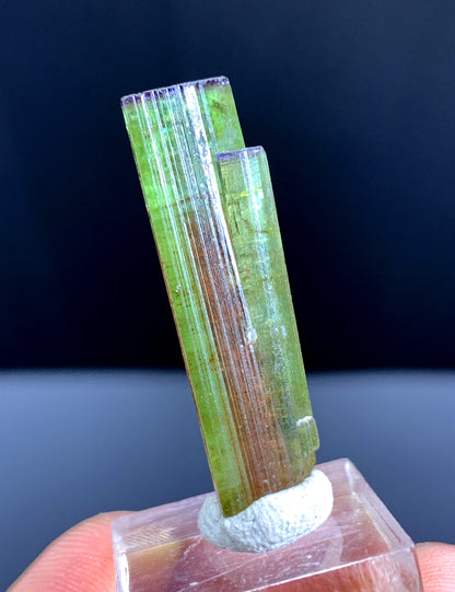 Watermelon Tourmaline Crystal from Paprok Afghanistan - 20.50 carats