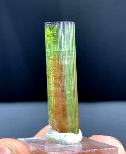 Watermelon Tourmaline Crystal from Paprok Afghanistan - 20.50 carats