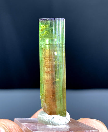 Watermelon Tourmaline Crystal from Paprok Afghanistan - 20.50 carats