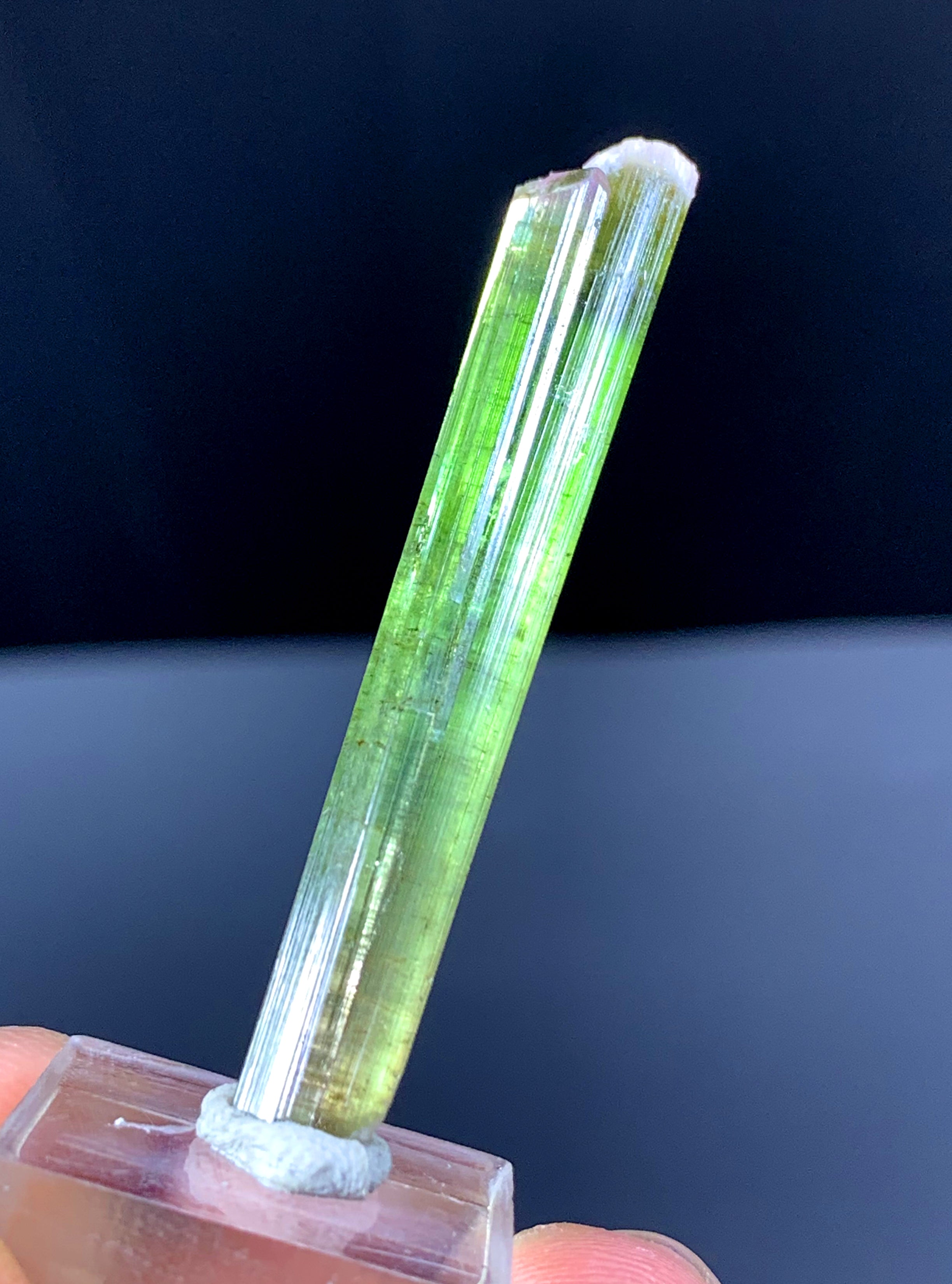 Watermelon Tourmaline Crystal from Paprok Afghanistan - 19.20 carats