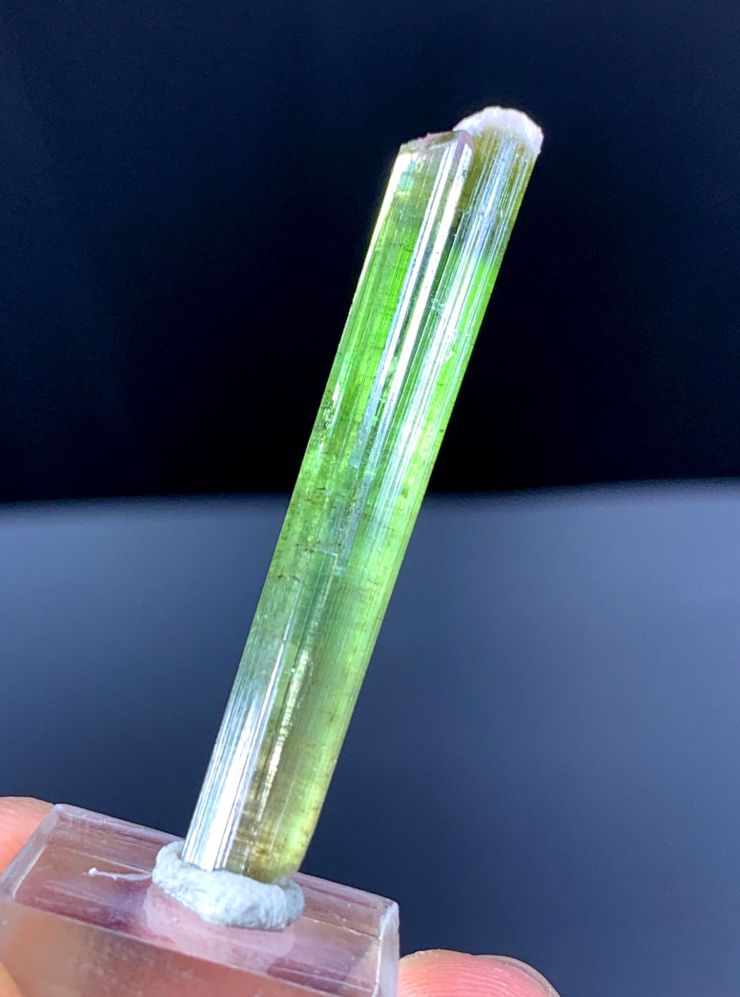 Watermelon Tourmaline Crystal from Paprok Afghanistan - 19.20 carats