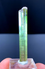 Watermelon Tourmaline Crystal from Paprok Afghanistan - 19.20 carats