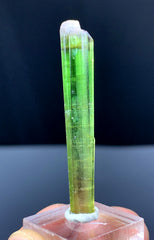 Watermelon Tourmaline Crystal from Paprok Afghanistan - 19.20 carats