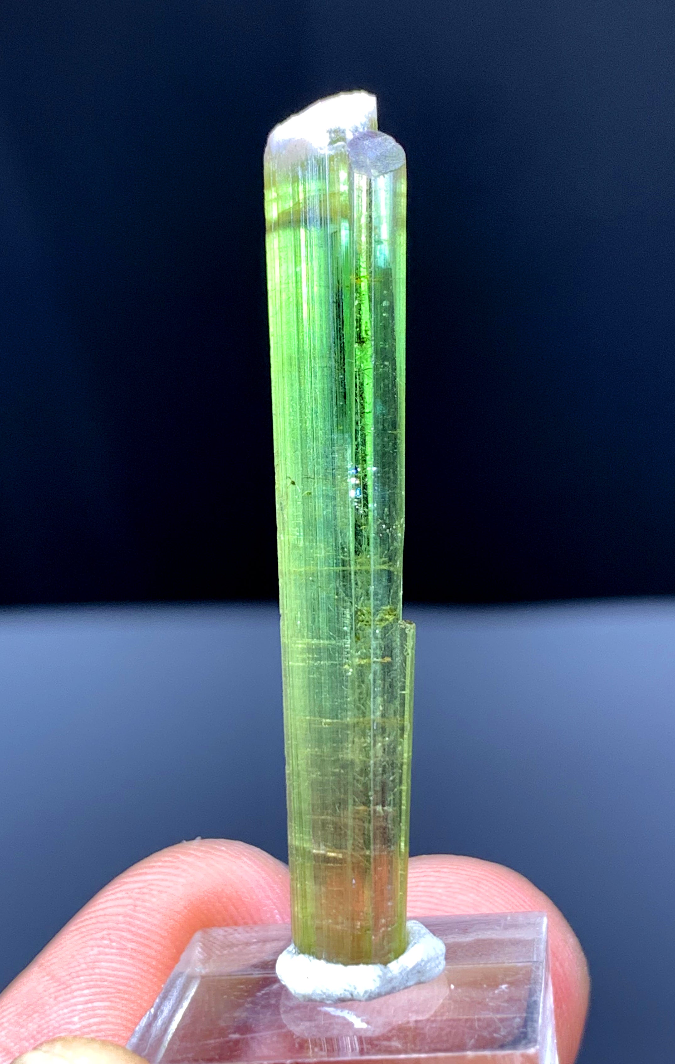 Watermelon Tourmaline Crystal from Paprok Afghanistan - 19.20 carats